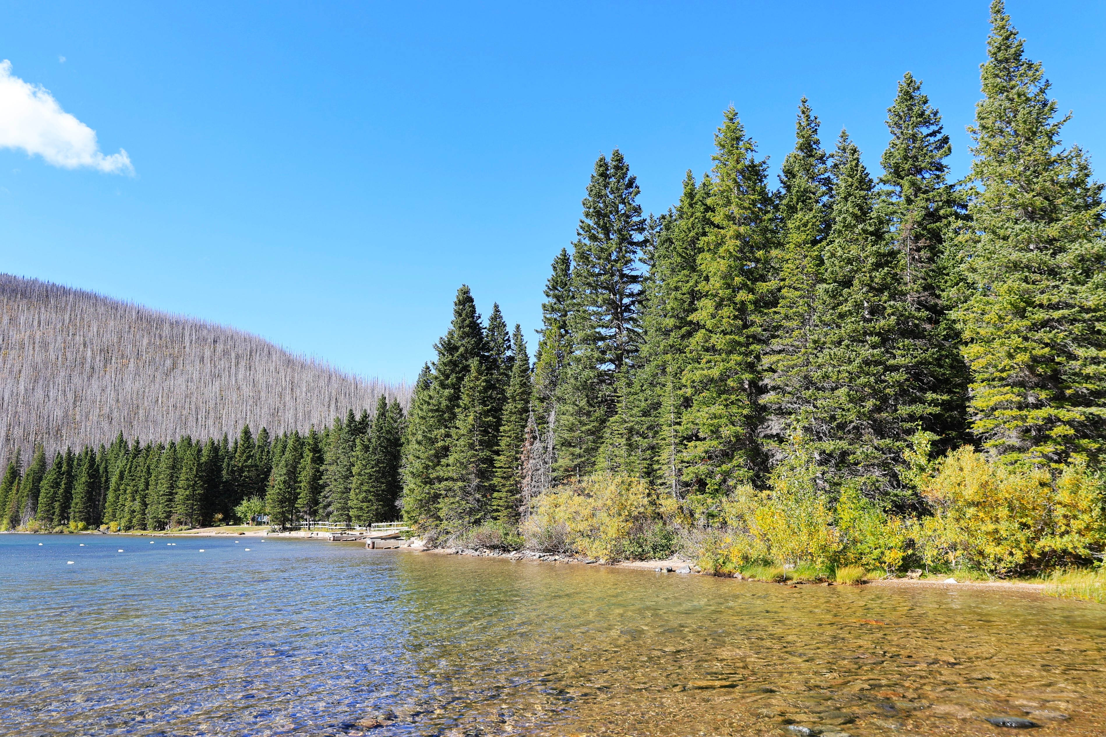 Cameron Lake
